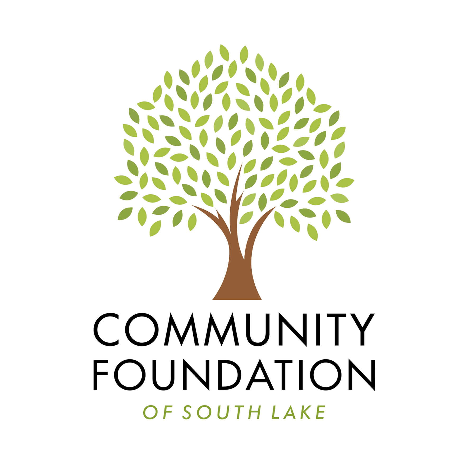 Community Foundation of South Lake