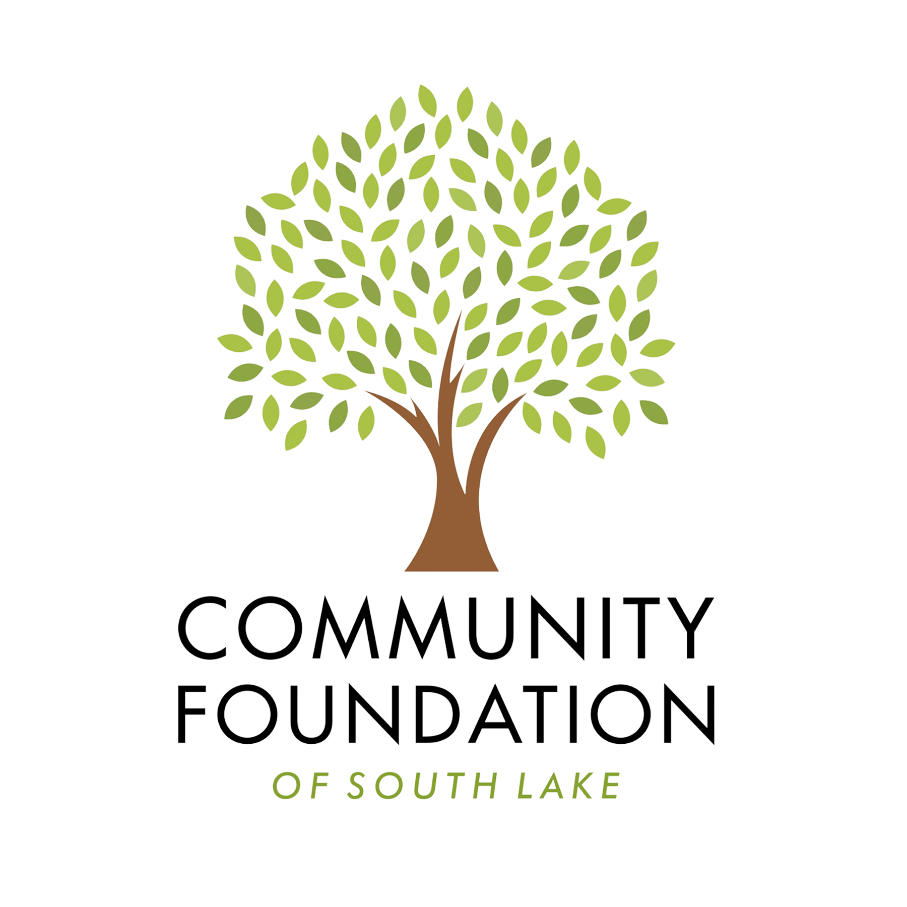 Community Foundation of South Lake